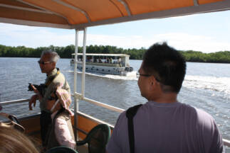 Day 1. Boat tour through the mangroves of Jiquilisco Bay.