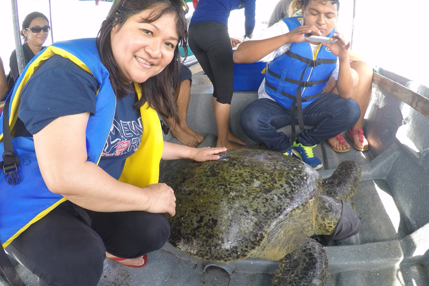 Day 3. Sea turtle during the evaluation process.