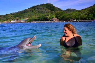 Day 5. Laughing with a dolphin!