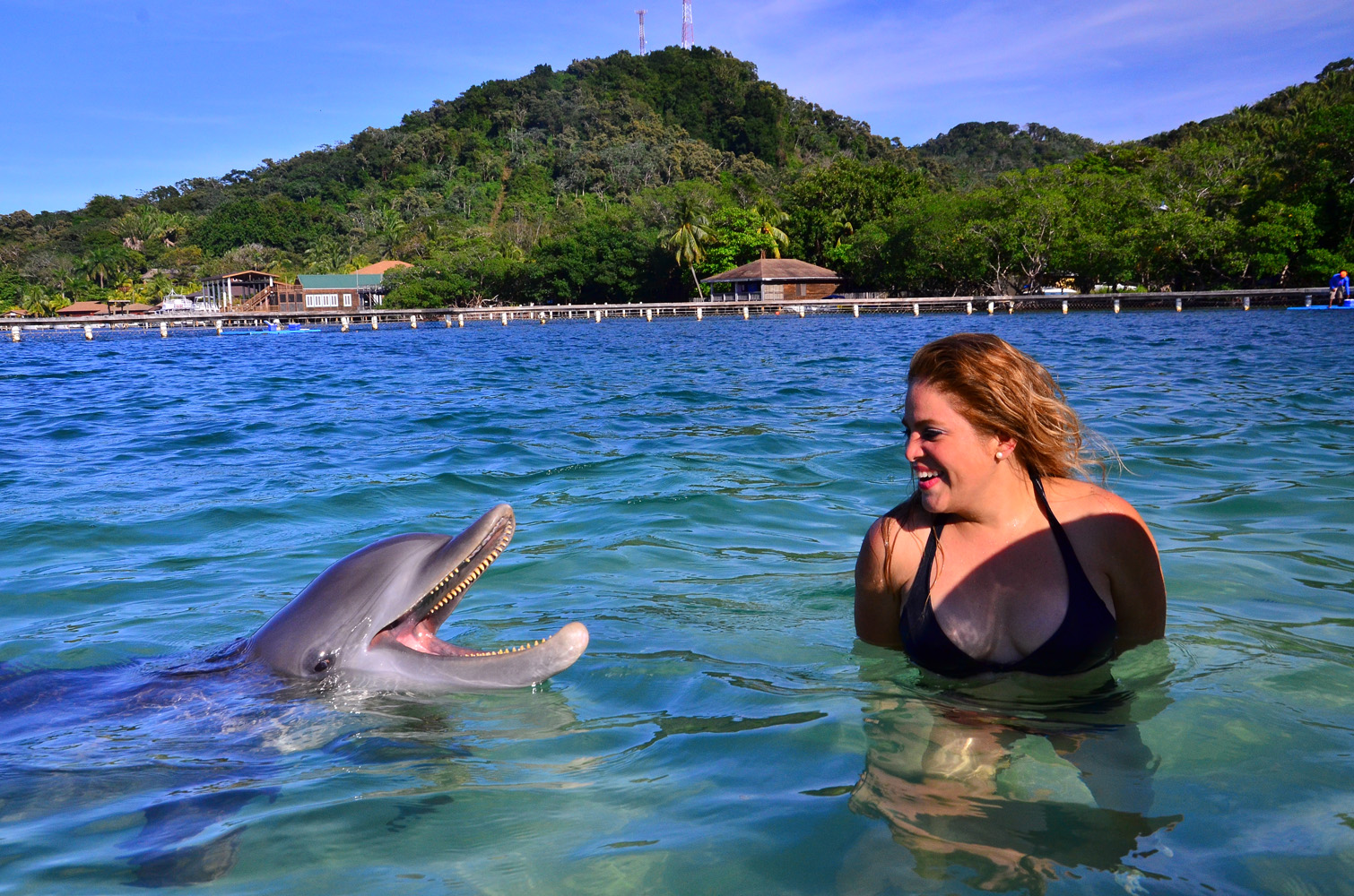 Day 5. Laughing with a dolphin!